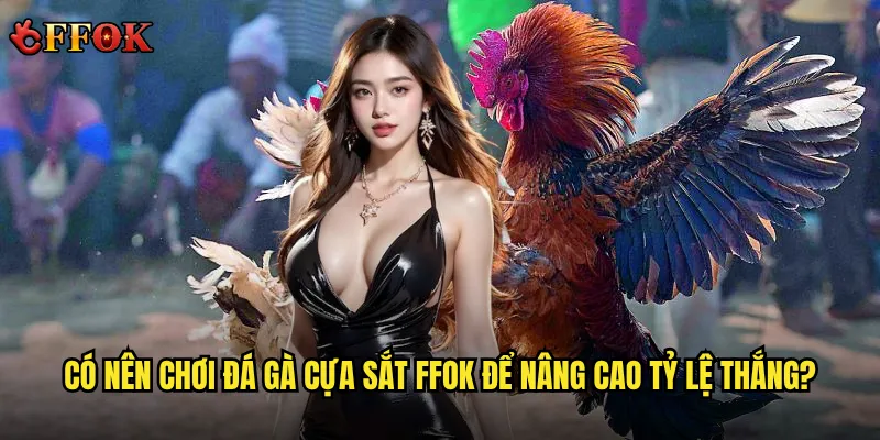 Đá gà cựa sắt ffok có phải là lựa chọn tốt cho người mới bắt đầu? 2 Có nên chơi đá gà cựa sắt ffok để nâng cao tỷ lệ thắng?